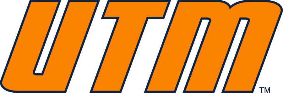 Tennessee-Martin Skyhawks 2007-2020 Wordmark Logo v2 iron on transfers for clothing